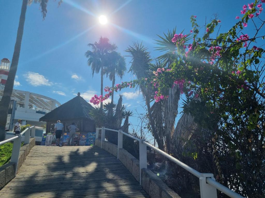 Ocean View Apartment, Costa Adeje,Tenerife